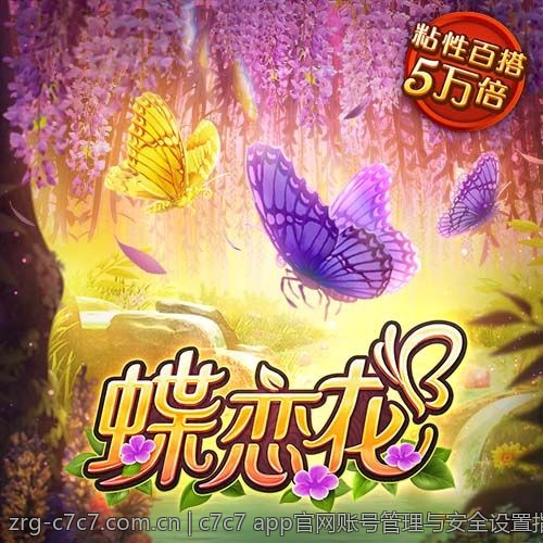 c7c7 app官网账号管理与安全设置指南